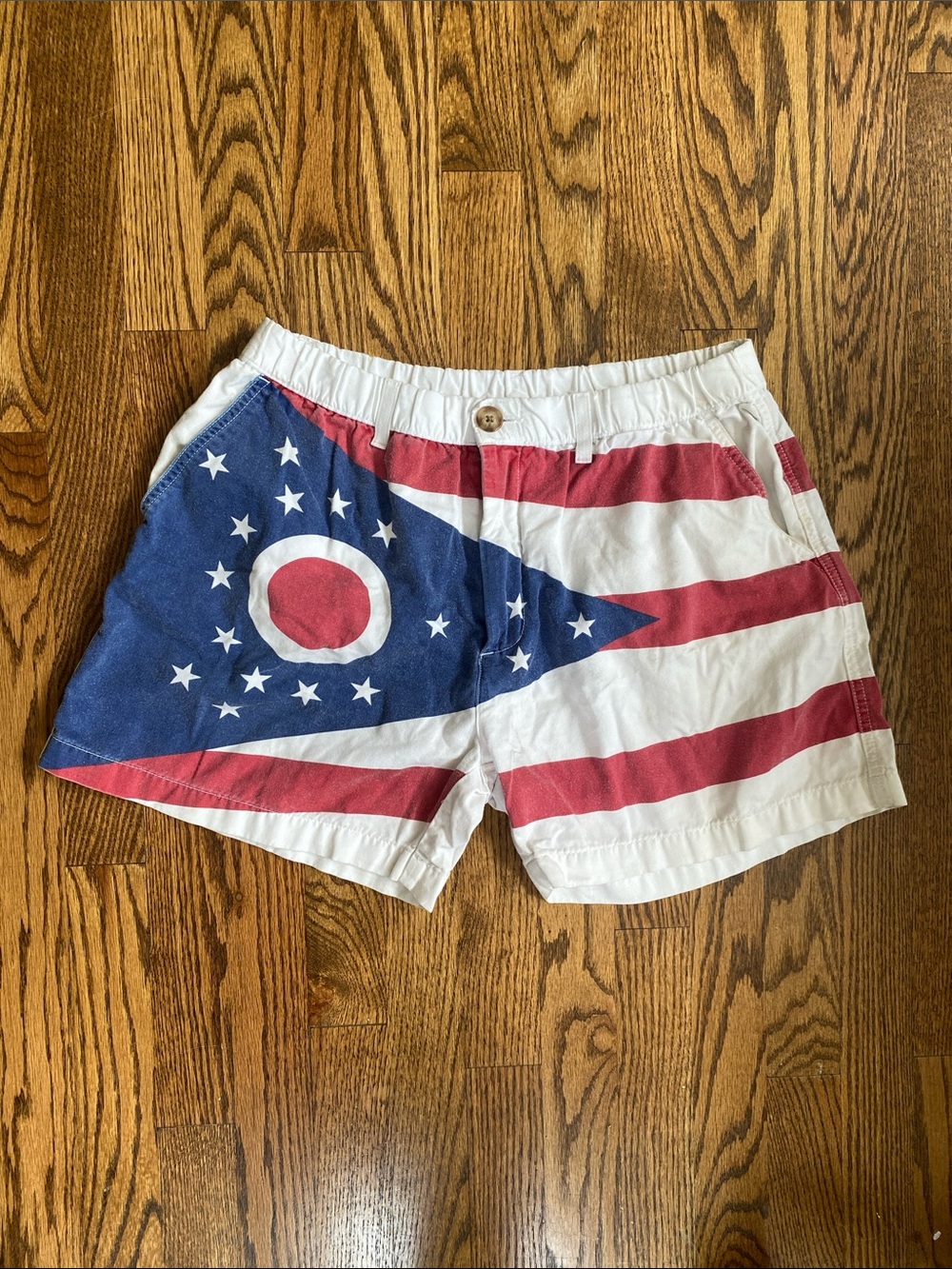 Vintage 2000s chubbies Ohio state flag print 5” shorts, size large.